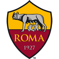 ROM logo