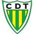 TON logo