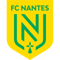 NAN logo