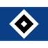 HSV logo